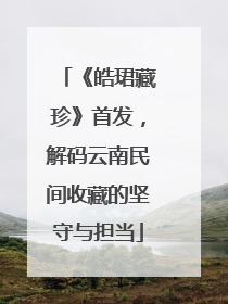 《皓珺藏珍》首发，解码云南民间收藏的坚守与担当