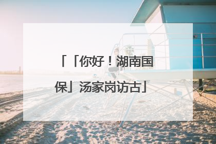 「你好！湖南国保」汤家岗访古