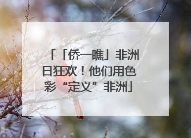 「侨一瞧」非洲日狂欢！他们用色彩“定义”非洲