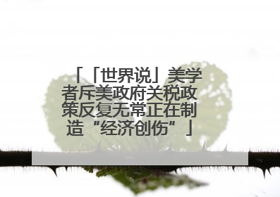 「世界说」美学者斥美政府关税政策反复无常正在制造“经济创伤”