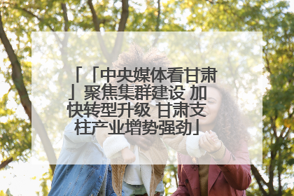 「中央媒体看甘肃」聚焦集群建设 加快转型升级 甘肃支柱产业增势强劲