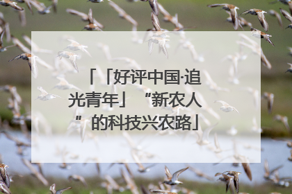 「好评中国·追光青年」“新农人”的科技兴农路