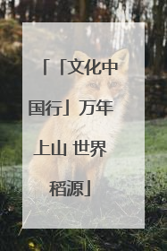 「文化中国行」万年上山 世界稻源
