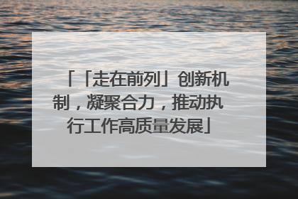 「走在前列」创新机制，凝聚合力，推动执行工作高质量发展