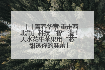 「青春华章·重走西北角」科技“智”造！天水花牛苹果用“芯”甜透你的味蕾