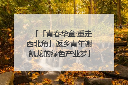 「青春华章·重走西北角」返乡青年谢凯龙的绿色产业梦