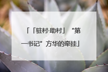 「驻村·助村」“第一书记”方华的牵挂