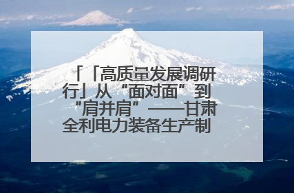 「高质量发展调研行」从“面对面”到“肩并肩”——甘肃全利电力装备生产制造项目一线见闻