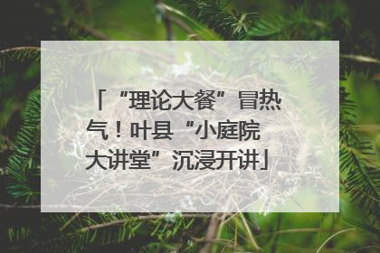 “理论大餐”冒热气！叶县“小庭院 大讲堂”沉浸开讲