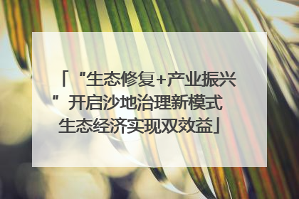 “生态修复+产业振兴”开启沙地治理新模式 生态经济实现双效益