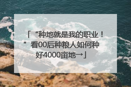 “种地就是我的职业！”看00后种粮人如何种好4000亩地→