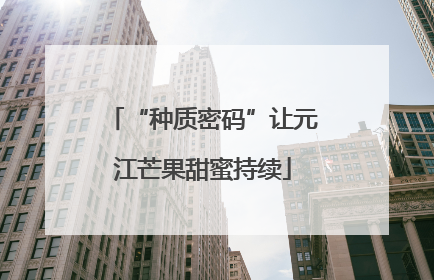“种质密码”让元江芒果甜蜜持续