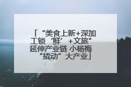 “美食上新+深加工锁‘鲜’+文旅”延伸产业链 小杨梅“撬动”大产业