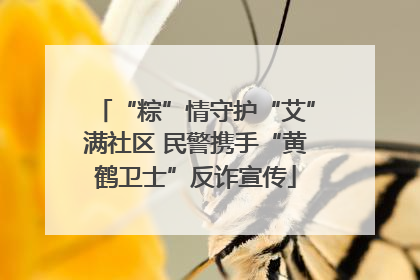 “粽”情守护“艾”满社区 民警携手“黄鹤卫士”反诈宣传