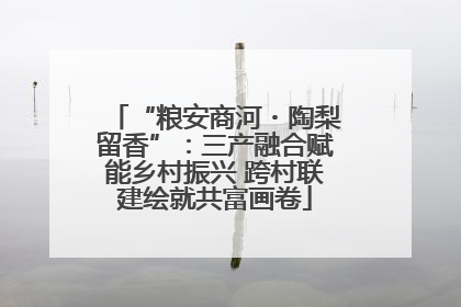 “粮安商河・陶梨留香”：三产融合赋能乡村振兴 跨村联建绘就共富画卷