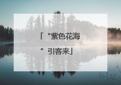 “紫色花海”引客来