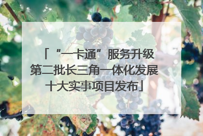 “一卡通”服务升级 第二批长三角一体化发展十大实事项目发布