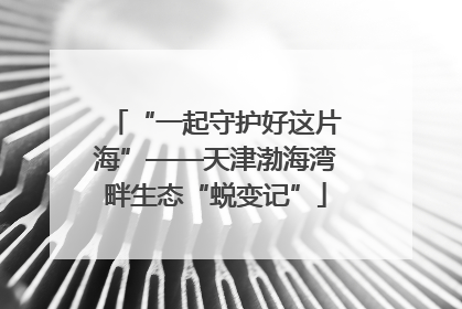 “一起守护好这片海”——天津渤海湾畔生态“蜕变记”