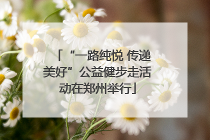 “一路纯悦 传递美好”公益健步走活动在郑州举行