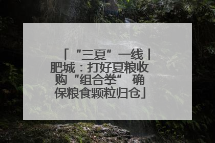 “三夏”一线丨肥城：打好夏粮收购“组合拳” 确保粮食颗粒归仓