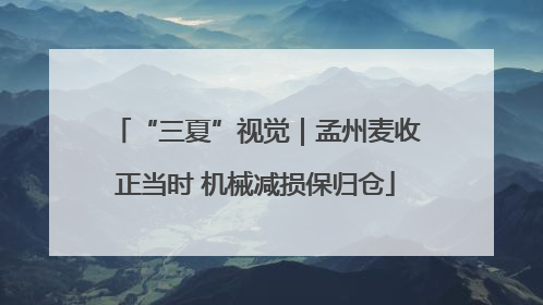 “三夏”视觉｜孟州麦收正当时 机械减损保归仓