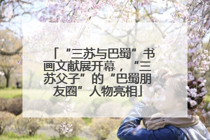 “三苏与巴蜀”书画文献展开幕，“三苏父子”的“巴蜀朋友圈”人物亮相