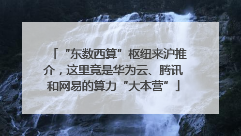 “东数西算”枢纽来沪推介，这里竟是华为云、腾讯和网易的算力“大本营”