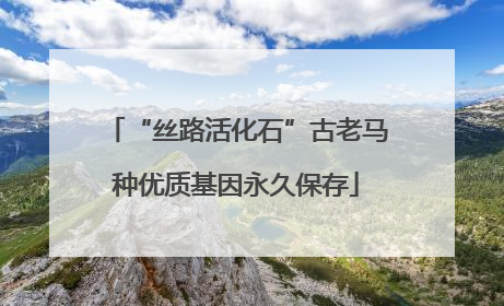 “丝路活化石”古老马种优质基因永久保存
