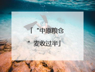 “中原粮仓”麦收过半
