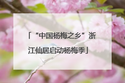 “中国杨梅之乡”浙江仙居启动杨梅季