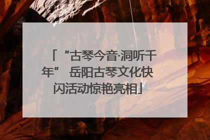 “古琴今音·洞听千年” 岳阳古琴文化快闪活动惊艳亮相