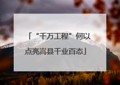 “千万工程”何以点亮嵩县千业百态