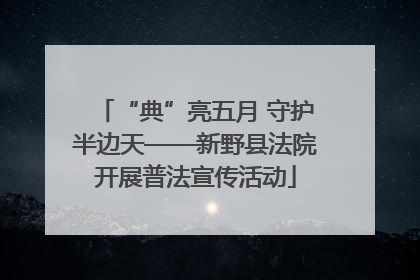 “典”亮五月 守护半边天——新野县法院开展普法宣传活动