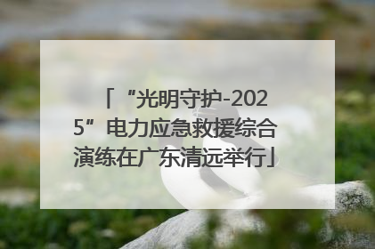 “光明守护-2025”电力应急救援综合演练在广东清远举行
