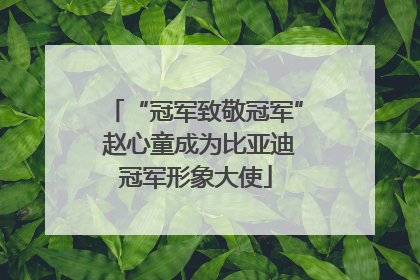 “冠军致敬冠军” 赵心童成为比亚迪冠军形象大使