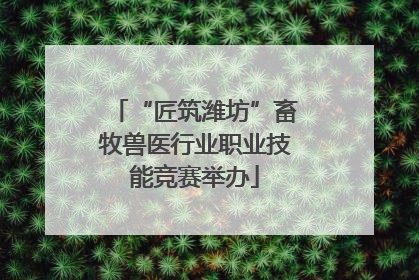 “匠筑潍坊”畜牧兽医行业职业技能竞赛举办