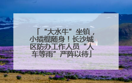 “大水牛”坐镇，小撬棍随身！长沙城区防办工作人员“人车等雨”严阵以待