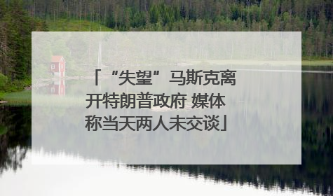 “失望”马斯克离开特朗普政府 媒体称当天两人未交谈