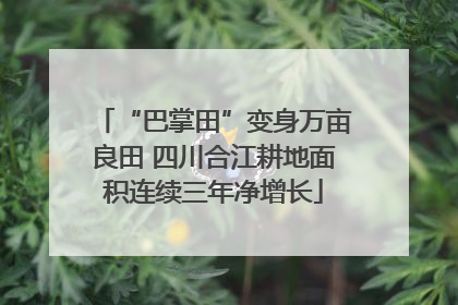 “巴掌田”变身万亩良田 四川合江耕地面积连续三年净增长