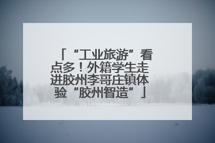 “工业旅游”看点多！外籍学生走进胶州李哥庄镇体验“胶州智造”