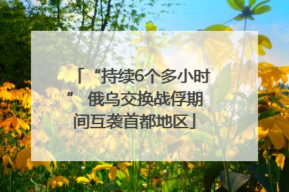 “持续6个多小时” 俄乌交换战俘期间互袭首都地区