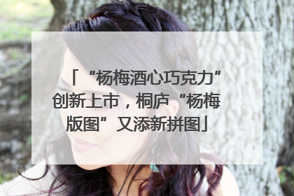 “杨梅酒心巧克力”创新上市，桐庐“杨梅版图”又添新拼图