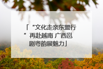 “文化走亲东盟行”再赴越南 广西邕剧粤韵展魅力