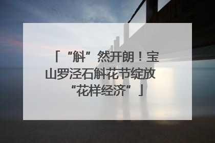 “斛”然开朗！宝山罗泾石斛花节绽放“花样经济”