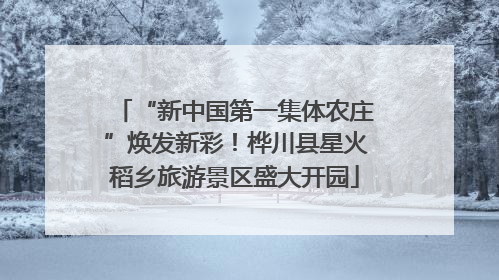 “新中国第一集体农庄”焕发新彩！桦川县星火稻乡旅游景区盛大开园