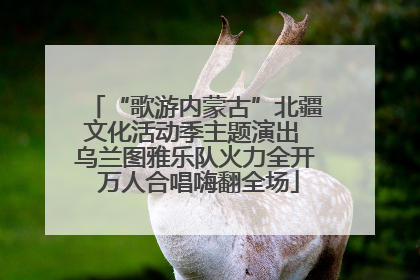“歌游内蒙古”北疆文化活动季主题演出 乌兰图雅乐队火力全开 万人合唱嗨翻全场