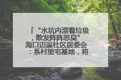 “水坑内漂着垃圾，散发阵阵恶臭” 海口迈瀛社区居委会：系村里宅基地，将派人打捞垃圾