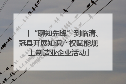 “聊知先锋”到临清、冠县开展知识产权赋能规上制造业企业活动