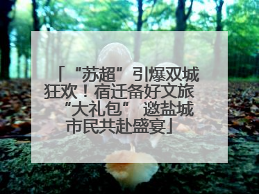 “苏超”引爆双城狂欢！宿迁备好文旅“大礼包” 邀盐城市民共赴盛宴
