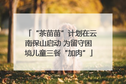 “茶苗苗”计划在云南保山启动 为留守困境儿童三餐“加肉”